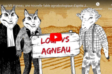 Loup VS Agneau, une nouvelle fable agroécologique d’après Jean de la Fontaine