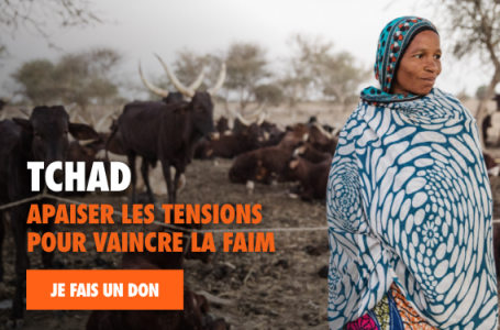Combattez l’insécurité alimentaire au Tchad