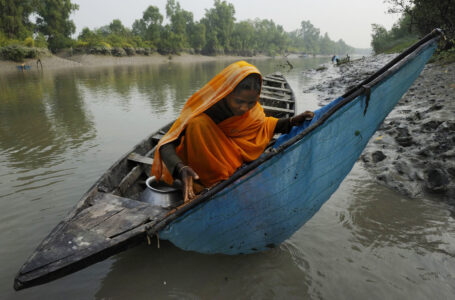 Mangroves du monde, Un trésor pour l’humanité – Xavier Desmier