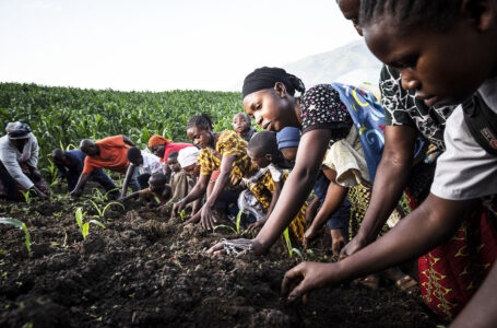 Journée départementale du CCFD-Terre Solidaire