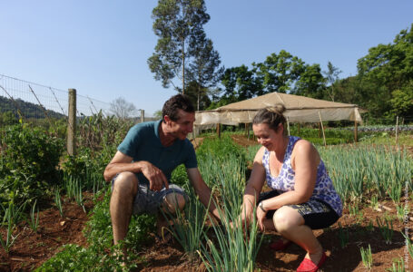 le développement d’une agriculture durable et le renforcement communautaire : Ciné-débat sur le Brésil