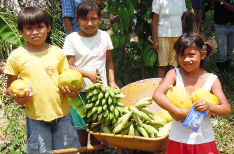 LE MARCHÉ DE NOËL du CCFD-Terre Solidaire