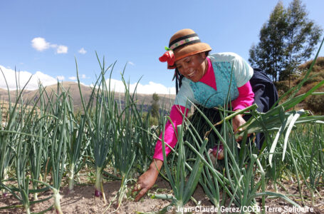 Les Assises de la Souveraineté Alimentaire