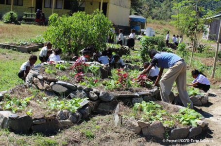 Ciné débat : les actions de Permatil au Timor Leste