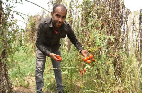 Témoignage de notre partenaire – Terre et Humanisme (MAROC) en visio